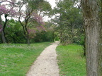 ORANGE (Vaucluse)